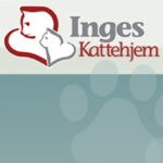 Webdesign og hjemmeside udvikling for Inges kattehjem